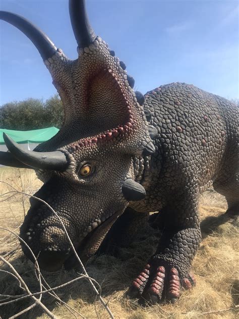 parks grapevine tx|prehistoric park grapevine tx.